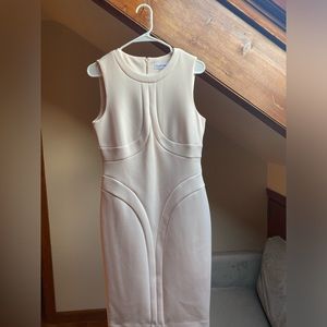Calvin Klein Size 10 Dress